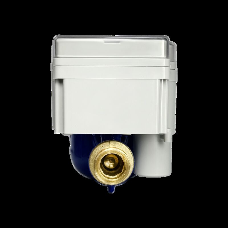 Série de Medidores de Água Pré-Pagos STS Inteligentes ODM/ OEM Personalizável Visor Mecânico Claro Reble Brass Water